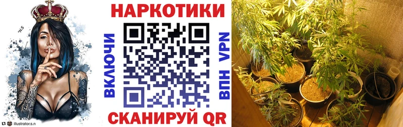 Где купить Каргополь Гашиш  COCAIN  Мефедрон  Галлюциногенные грибы  АМФ  МЕТАДОН  СК  Канабис 