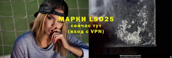 шишки Володарск