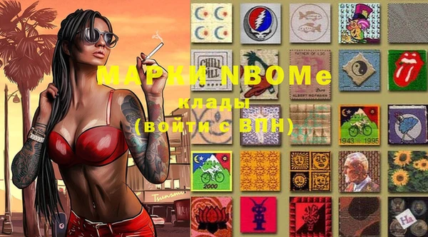 шишки Володарск