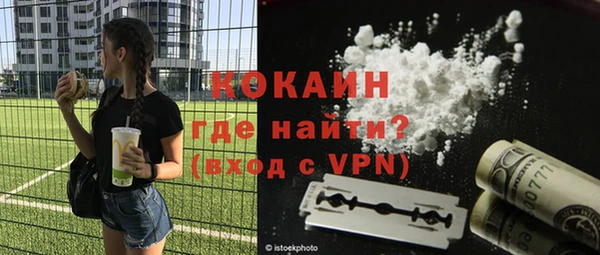 шишки Володарск