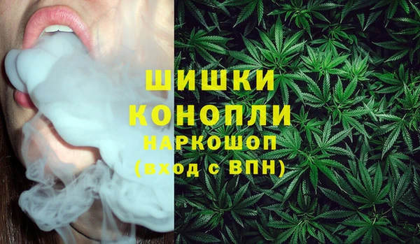 шишки Володарск