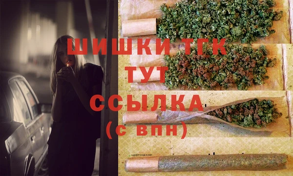 шишки Володарск