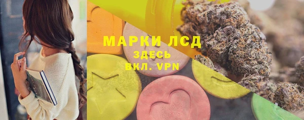 шишки Володарск