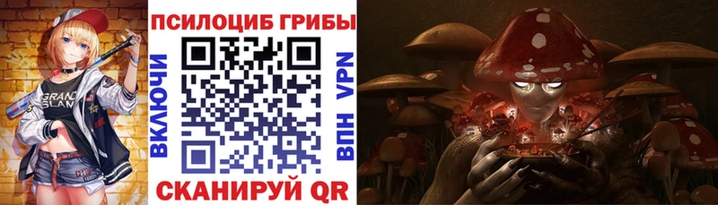 Псилоцибиновые грибы Psilocybe  Каргополь 